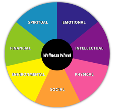 A colorful wellness wheel divided into seven sections: spiritual, emotional, intellectual, physical, social, environmental, and financial.